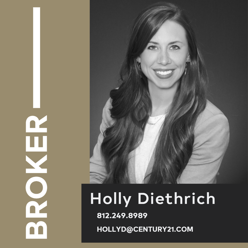 website-update-agents-holly